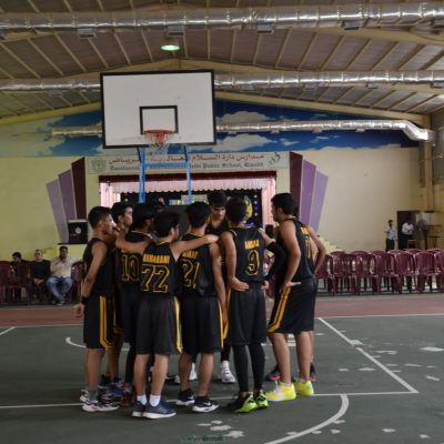 DPS- 1 (19)