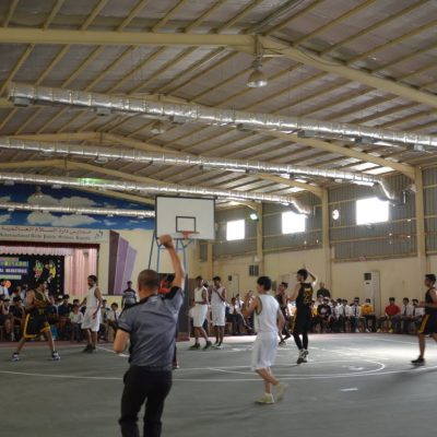 DPS- 1 (8)