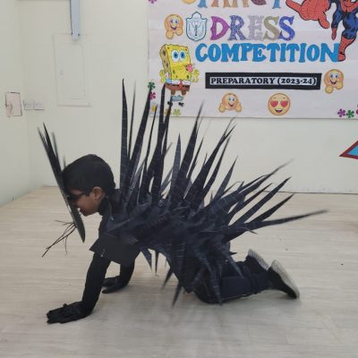 Fancy Dress Competition (Junior) (12)