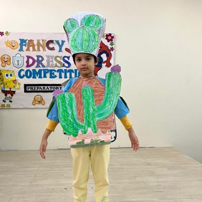 Fancy Dress Competition (Junior) (15)