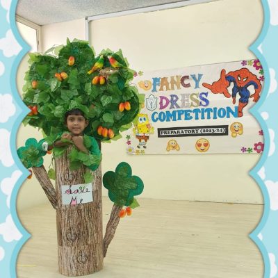 Fancy Dress Competition (Junior) (16)