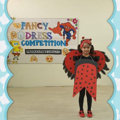Fancy Dress Competition (Junior) (20)