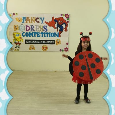 Fancy Dress Competition (Junior) (21)