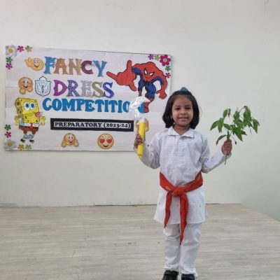 Fancy Dress Competition (Junior) (26)