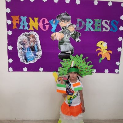 Fancy Dress Competition (Junior) (28)