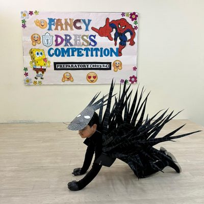 Fancy Dress Competition (Junior) (9)